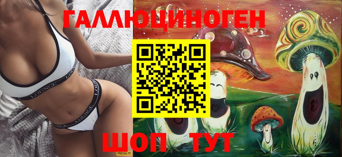 Дмитров  Псилоцибиновые грибы Cubensis  Вход с VPN 