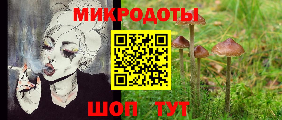 Галлюциногенные грибы Psilocybine cubensis Дмитров